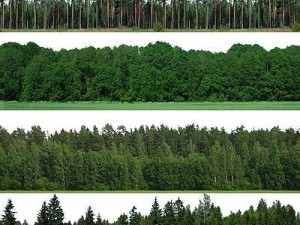 greenpiece Modello 3D