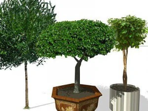 greenpiece 3D Model