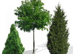 greenpiece 3D Model