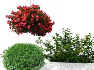 greenpiece 3D Model