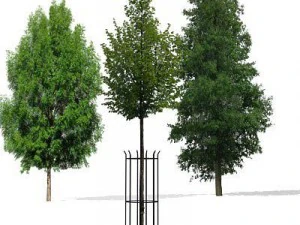 greenpiece 3D Model