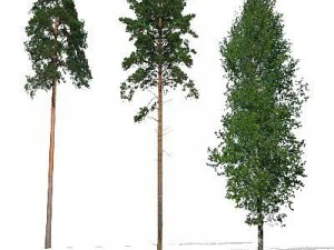 greenpiece 3D Model