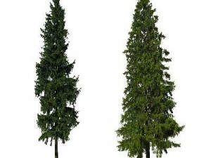 greenpiece 3D Model