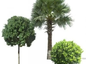 greenpiece 3D Model