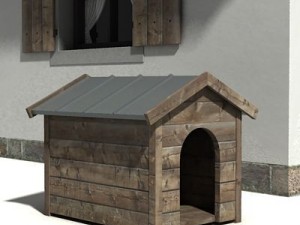 the house 3D 模型