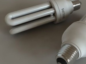 fluorescent philips bulb Model 3D