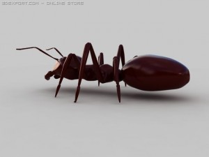 ant Modello 3D
