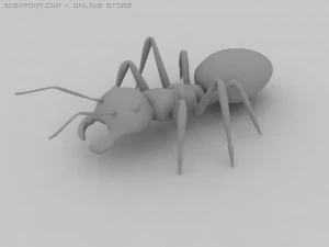 mr&oacute;wka Model 3D