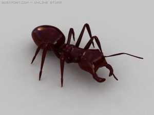 ant 3D 모델