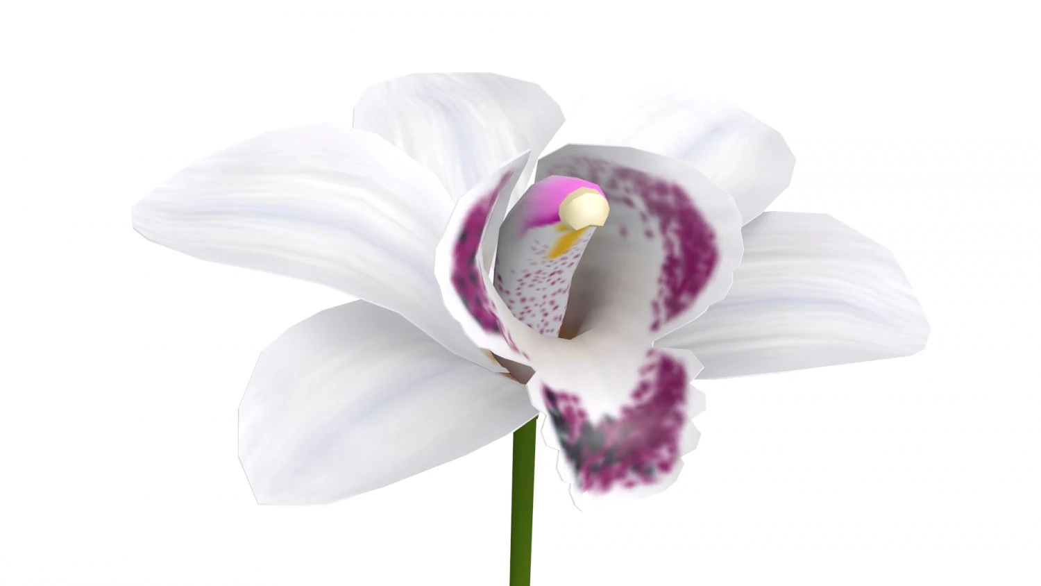 orchid 3D Model .c4d .max .obj .3ds .fbx .stl .blend 