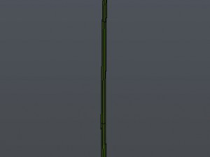 orchid 3D Model