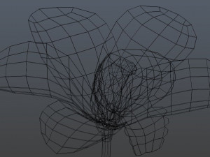 orchid 3D Model