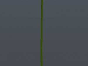 orchid 3D Model