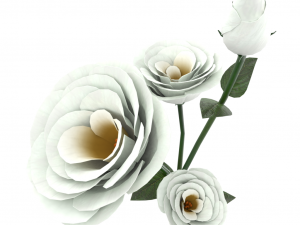 eustoma Modèle 3D