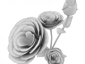 eustoma Model 3D
