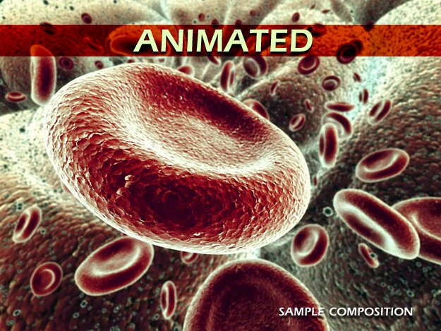 red blood cells animated 3D Model .c4d .max .obj .3ds .fbx .stl .blend