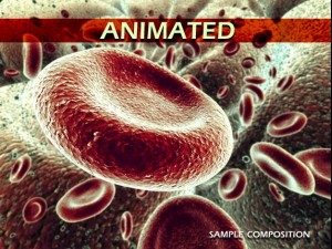 red blood cells animated 3D Model