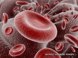 red blood cells animated Modello 3D