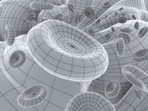 red blood cells animated Modello 3D