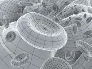 red blood cells animated 3D Model