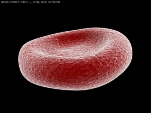 red blood cells animated Modello 3D