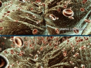 red blood cells animated Modello 3D