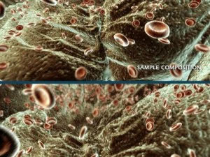 red blood cells animated 3D Model