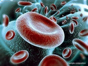 red blood cells animated 3D Model