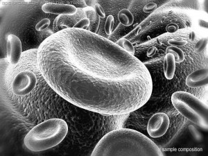red blood cells animated Modello 3D