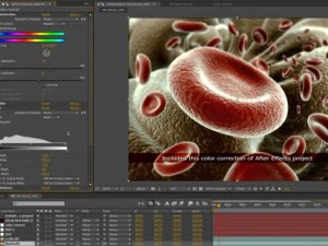 red blood cells animated 3D Model
