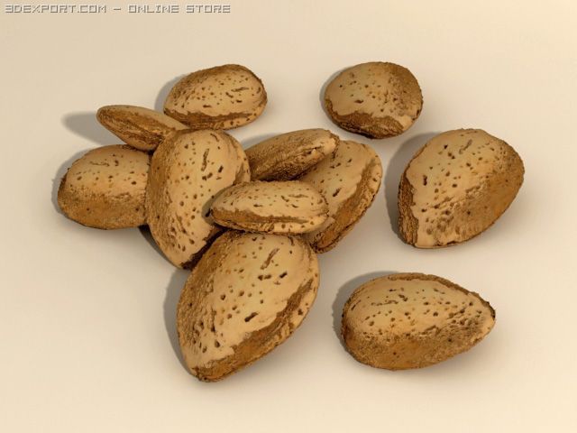 almonds in shell 3D मॉडल .c4d .max .obj .3ds .fbx .stl .blend 