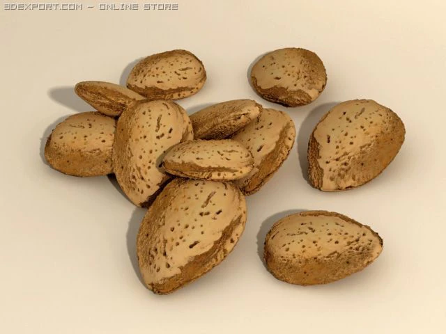 almonds in shell 3D Model .c4d .max .obj .3ds .fbx .stl .blend 