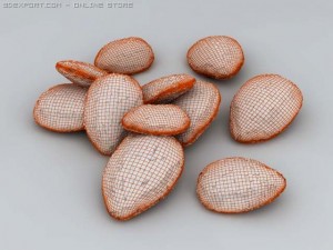almonds in shell 3D मॉडल