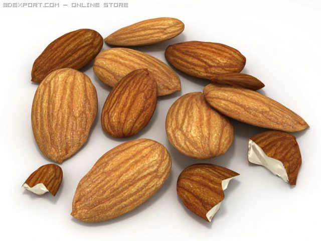 almonds unshelled 3D Model .c4d .max .obj .3ds .fbx .stl .blend 