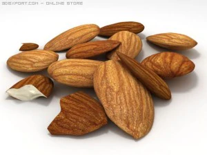 almonds unshelled 3D Model