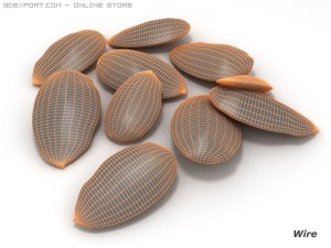 almonds unshelled 3D मॉडल