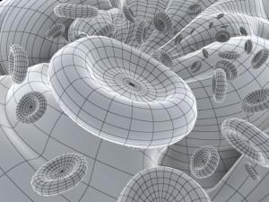 red blood cells 3D Model