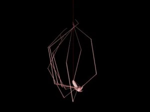 spider pholcus phalangioides 3D Model