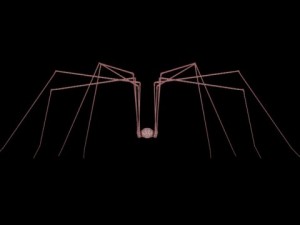 spider pholcus phalangioides 3D Model