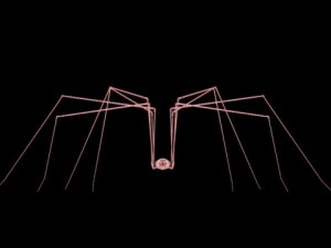 spider pholcus phalangioides 3D Model