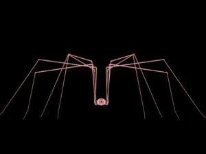spider pholcus phalangioides 3D Model