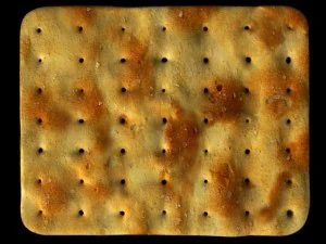 cookies 3D Model