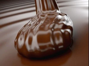 mousse of chocolate with render image sequence 3D Model