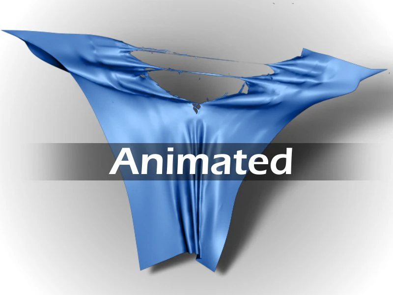 torn cloth 3D Model .c4d .max .obj .3ds .fbx .stl .blend 