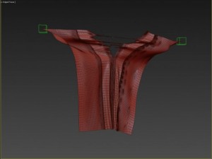 torn cloth 3D Model