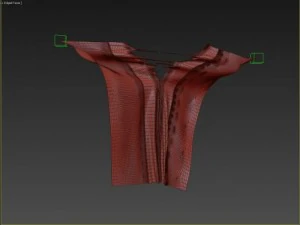 torn cloth 3D Model