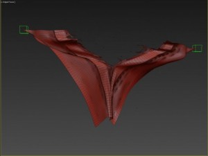 torn cloth 3D Model
