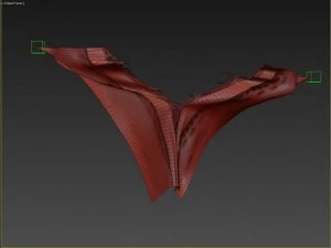 torn cloth 3D Model