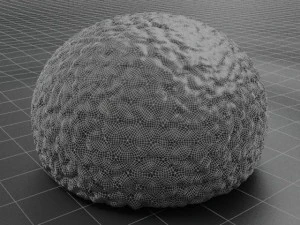 bonbon of chocolate 2 3D Model