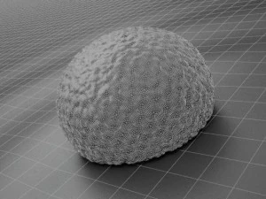 bonbon of chocolate 2 3D Model